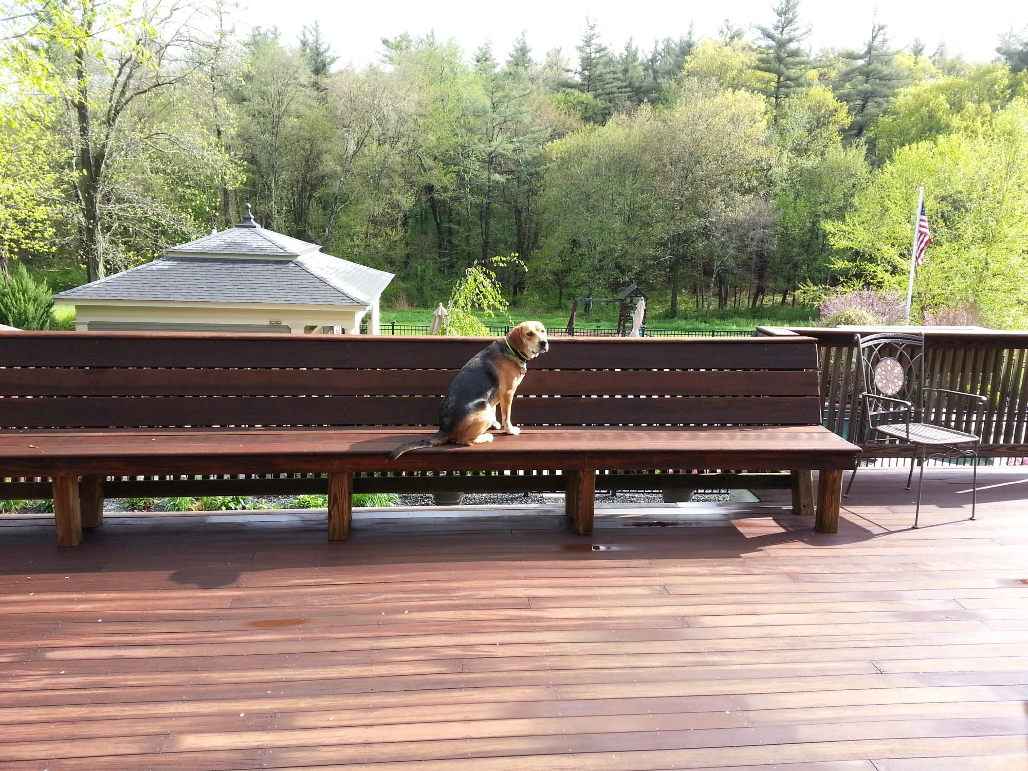 20140517_082816.jpg